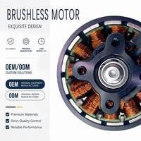 Upgrade-Kit 4320 300KV 6S~12S Hochdrehmoment Metall-Brushless-Motor für Pflanzenschutz-Landwirtschaftsdrohnen 18~20 Zoll UAV-Ersatzteile