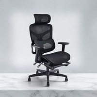 Ergonomischer Bürostuhl mit Höhenverstellung, Modernes Netzdesign, Lendenwirbelstütze, Wasserdicht, Drehbar - Für Büro, Fitness-Studio, Hotel