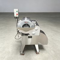 Commerciële driedimensionale snijmachine voor het snijden van fruit en groenten tot korrels