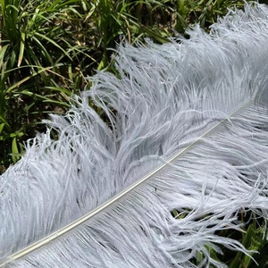 <span class=keywords><strong>Plumes</strong></span> <span class=keywords><strong>d</strong></span>'<span class=keywords><strong>autruche</strong></span> blanches naturelles <span class=keywords><strong>d</strong></span>écoratives en gros, 40-80 <span class=keywords><strong>cm</strong></span>, pour centres de table de mariage - Product Image 4