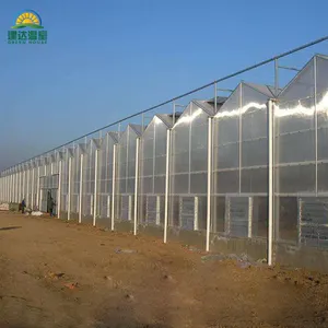 温室温室水耕トマトSUNSGH GREENHOUSEベンロポリカーボネートシート中国