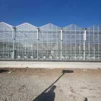 Serre agricole intelligente entièrement automatisée multi-chapelles de grande envergure en verre trempé pour culture hydroponique de la marque ZHUOTAI
