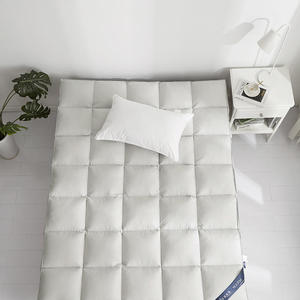 <span class=keywords><strong>2025</strong></span> mới Vua Kích thước Trắng Sợi Polyester nệm khách sạn Sao mềm có thể giặt Topper cho phòng ngủ và phòng khách bán buôn - Product Image 5