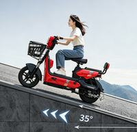 Vélo électrique résistant aux hautes températures, Elektrikli Bisiklet, vélos électriques pour adultes