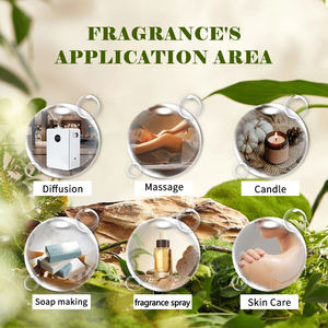 Perfume Masculino al por Mayor, Envío en 3-7 Días, Tamaño Regular 100ml, Aroma Fresco y Ligero, Fragancia Duradera - Product Image 2