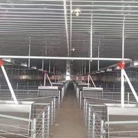 Solution clé en main pour la construction d'une ferme porcine avec équipement d'élevage de porcs entièrement automatisé