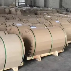 High Quality 201 202 301 304 305 306 309s 310s 316l 317l 409 410 420 430 904l Hot Rolled /Cold Rolled Stainless Steel Coils