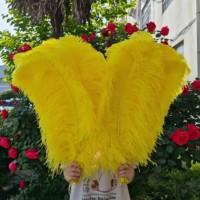 Plumes d'autruche sud-africaines de 80 cm, qualité supérieure, vente en gros, pour costumes de carnaval, Mardi Gras, mariage, fête, décoration intérieure, bricolage