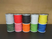 Corde tressée creuse en nylon haute résistance de 2 mm 50 m, 3/4 brins torsadés, noire, multi-usages, pour usage extérieur, kite-surf