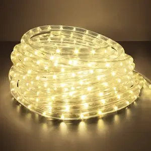 Đèn LED RGB Nhấp Nháy Nhiều Màu Đèn Dây Mềm Chống Nước Ngoài Trời Đèn Trang Trí Lễ Hội Dạng Ống Trong Suốt