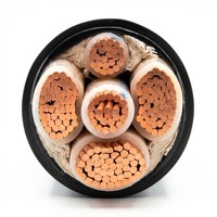 Cable de Alimentación Estándar YJV/YJY de Cobre de Calidad Superior 1x300mm 0.6/1kV con Aislamiento XLPE