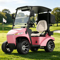 Voiturette de golf professionnelle certifiée CE à un siège, charge rapide, mini-buggy électrique à 4 roues pour l'entretien des terrains de golf, vente en gros