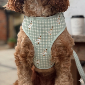 Ensemble d'accessoires de harnais pour chien personnalisé brodé (bandana et nœud) – Conception rembourrée écologique, motif personnalisé, faible MOQ - Product Image 2