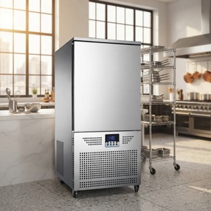 Réfrigérateur vertical professionnel RTK avec affichage profond, congélateur à bascule, pour restaurant RT-SDG - Product Image 1