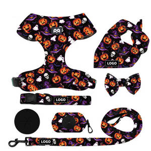 QQPETS özelleştirilebilir çeşitli stil köpek tasma ve zincir seti, kişiselleştirilmiş Logo ile ayarlanabilir naylon Pet ürünleri - Product Image 6