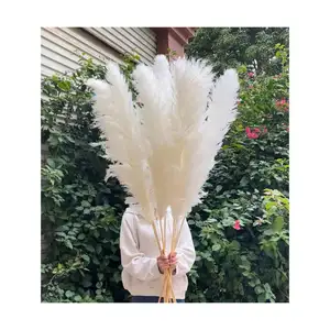 Bán Buôn Chất Lượng Cao Pampas Cỏ Fluffy Trắng Tự Nhiên Pampas Cỏ Cho Đám Cưới Trang Trí Nội Thất