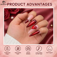 Hema Free 4-Farben Rubinrotes Katzenauge Gel-Nagellack-Set Hochwertig mit Eigenem Logo Reflektierender TPO-Freier UV-Gel Magnetischer Top-Gel-Nagellack