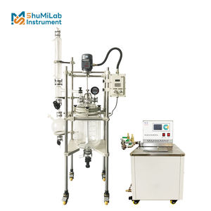 Recipiente a pressione automatico con circolatore di riscaldamento, nuovo reattore in vetro a prova di esplosione da 20 litri - Product Image 1