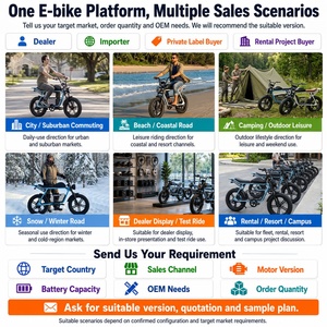 <span class=keywords><strong>Bicicleta</strong></span> Eléctrica DYNALION ODM/OEM de 48v para Adulto Híbrida de Montaña MTB <span class=keywords><strong>Bicicleta</strong></span> Eléctrica de Llantas Anchas - Product Image 6
