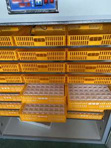 Venda direta da fábrica ovo incubadora automática ovo incubadora diagrama à venda - Product Image 4