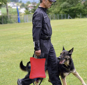 Paquetes de juguetes para morder para perros pequeños y medianos, almohadas de morder para perros, juguetes interactivos para perros pastor alemán, suministros de objetivos para morder para perros - Product Image 2
