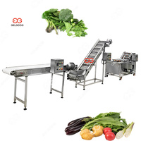 Automatische Transportband Voeding Continue Borstel Luchtbel Reiniging Sorteren Fruit En Groenten Wassen En Drogen Machine