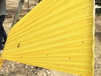 Piège à colle double face jaune et bleu 15*100m, Piège à insectes en PP imperméable pour la lutte antiparasitaire des serres et jardins