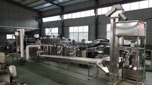 Machine de traitement des noix MK pour la fabrication de beurre de cacao et de poudre de cacao, capacité de 30 à 100 kg/h, 220 V, 10 kW, garantie 1 an - Product Image 4