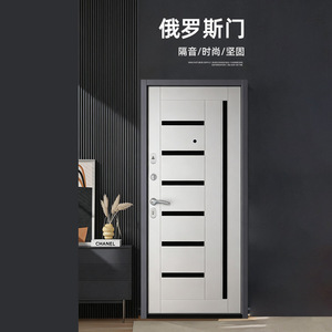 Porte de sécurité russe en acier, design minimaliste, isolation acoustique, ouverture manuelle pour villa extérieure - Product Image 1