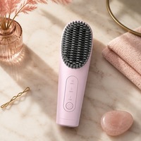 Brosse lissante sans fil 3 réglages de température 170-230°C Outil de coiffure professionnel pour salon Design sans fil