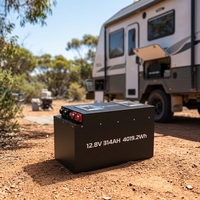 Batterie LiFePO4 au lithium Propow personnalisée pour camping-car, cycle profond 12V 314Ah, pour camping-car, caravane, fourgon, solaire