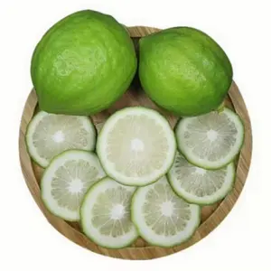 Limau segar kaya akan Vitamin C 100% limau alami berasal dari Vietnam segar tanpa biji lemon siap untuk pengiriman