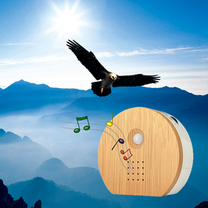 Lecteur de chants d'oiseaux portable avec capteur de mouvement PIR, boîte à sons naturels, jouet apaisant pour bébé en plastique durable - Product Image 1