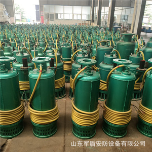 ปั๊มจุ่มใต้น้ำ Bqs800-90-315 Nkw ทำจากเหล็กหล่อ ป้องกันการระเบิด สำหรับระบายน้ำ ใช้ในงานเหมือง - Product Image 4
