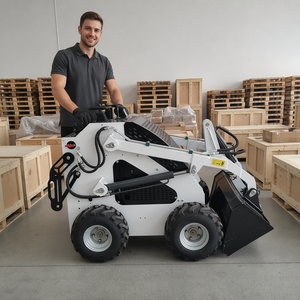 <span class=keywords><strong>Mini</strong></span>-chargeuse télescopique diesel sur chenilles avec moteur EPA, capacité de la benne de 0,12 m³, kit de conversion sur chenilles pour <span class=keywords><strong>mini</strong></span>-chargeuse - Product Image 1