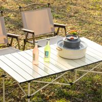 Vente chaude en acier au carbone en alliage d'aluminium Table à rouleaux pliante pique-nique ultraléger pour barbecue en plein air
