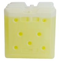 Brique de glace à changement de phase sensible à la température en PEHD, réutilisable, de qualité alimentaire, durable, écologique, avec logo personnalisé pour