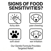 Nourriture sèche pour chat, sans céréales, recommandée par les vétérinaires, emballage personnalisé, logo personnalisé, nourriture essentielle pour chat, digestion sensible, adulte, chaton, nourriture universelle pour animaux de compagnie