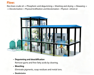 Línea de Producción de Refinación de Aceite de Salvado de Arroz a Gran Escala, Equipo de Refinería Automático Continuo Completo - Product Image 6