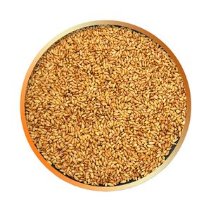 1公斤白子仁批发生白子仁去皮白子仁种子用于草药 - Product Image 1