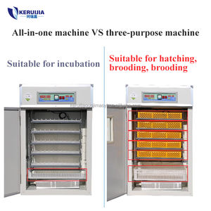 Incubateur automatique commercial d'oeufs et équipement de ferme de volaille de poulet d'écloserie de machine à couver 2112 d'oeufs - Product Image 4