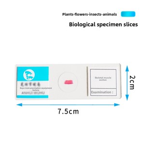 Raíz de maíz, Piel de ranita, Punta de raíz de <span class=keywords><strong>cebolla</strong></span>, Hígado, Célula epidérmica animal turbelariana, Estomato de hoja - Product Image 3