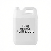 Recharge liquide en gros pour diffuseur à bâtonnets, haute capacité, soluble dans l'eau, parfumée aux plantes, personnalisée, pour aromathérapie