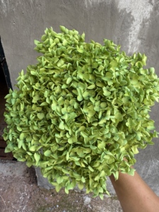 Ortensie Essiccate Naturali all'Ingrosso 55-65cm per Decorazioni da Tavolo Casa/Matrimonio Capodanno Cinese Fiori Decorativi - Product Image 6