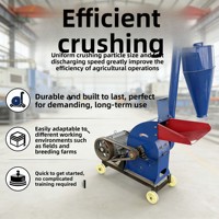 Broyeur à marteaux pour céréales et maïs en acier, haute productivité, nouvelle génération, 3 tonnes/heure, équipement de traitement des aliments, fourni par une usine chinoise