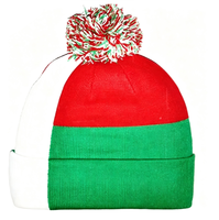 Nouveau bonnet tricoté drapeau italien pour femmes et hommes, bonnet à pompon doux et extensible, chaud pour l'hiver, vente en gros personnalisée à prix abordable
