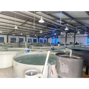 RAS equipment indoor fish farming for / Giant freshwater prawn