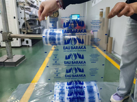 Sachets d'eau en plastique de 300 ml et 500 ml, emballage personnalisé, extrudeuse pour film, rouleau de sachets d'eau pure