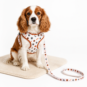 Arnés de Neopreno Personalizado para Perros, Arnés de Lujo Ajustable Antitirones, Conjunto de Correa y Collar para Mascotas, Fabricante de Conjuntos de Arnés para Perros - Product Image 3