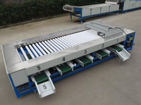 Vbjx Aardappelen Knoflook Kersenpruim Dadels Cashew Ananas Sorteermachine Sorteermachine Voor Groentefruit
